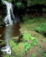 Hareshaw Linn in Northumberland National Park - © Simon Fraser